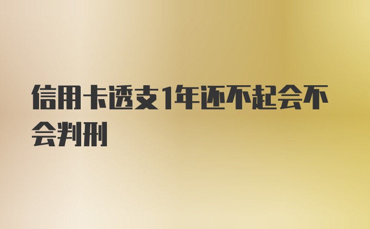 信用卡透支1年还不起会不会判刑