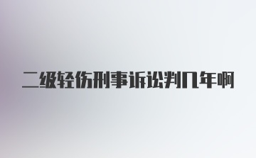 二级轻伤刑事诉讼判几年啊