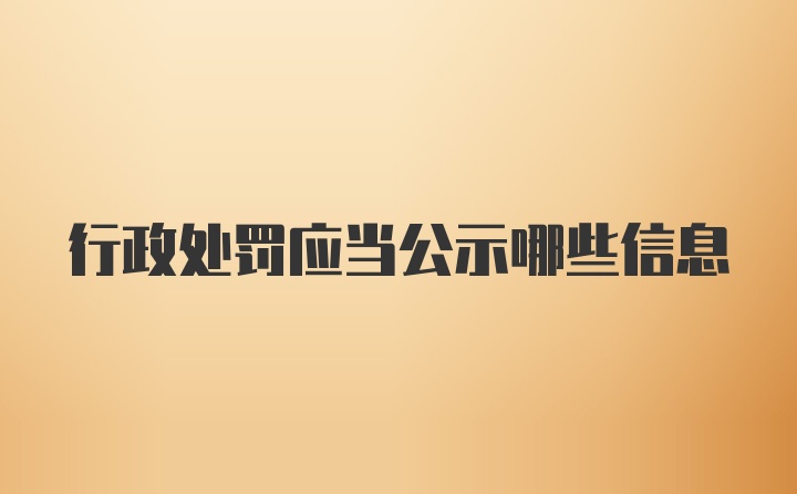 行政处罚应当公示哪些信息