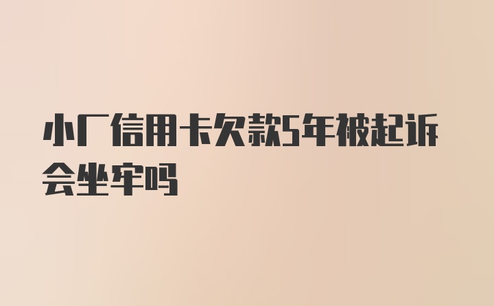 小厂信用卡欠款5年被起诉会坐牢吗