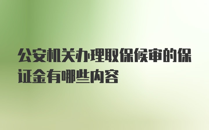 公安机关办理取保候审的保证金有哪些内容