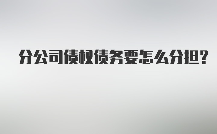 分公司债权债务要怎么分担？