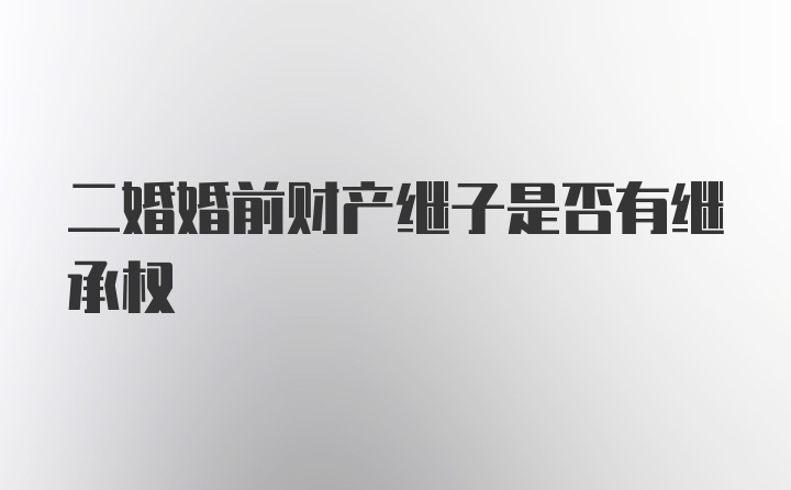 二婚婚前财产继子是否有继承权