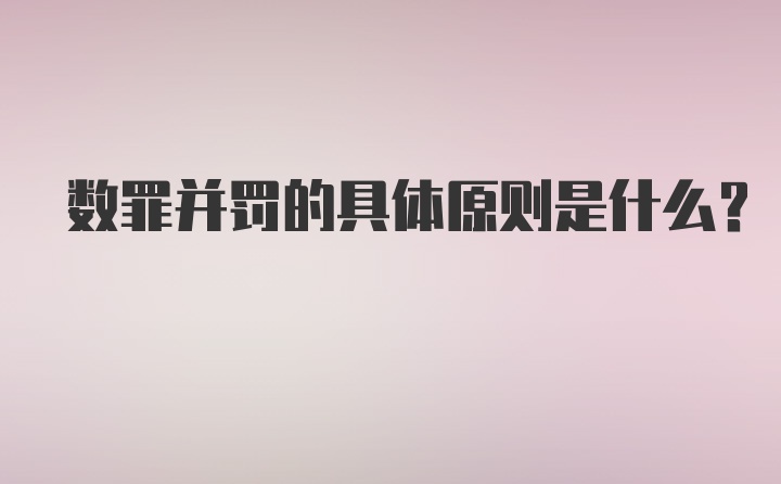 数罪并罚的具体原则是什么？