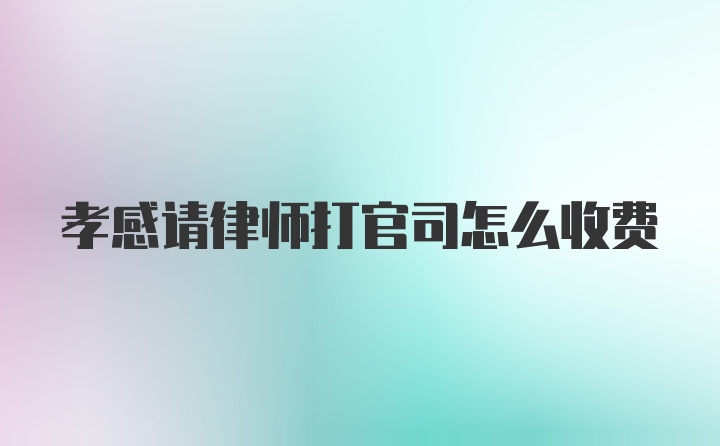 孝感请律师打官司怎么收费