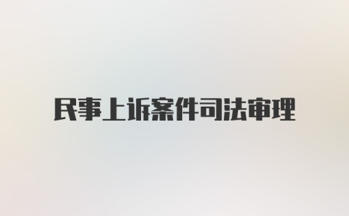 民事上诉案件司法审理