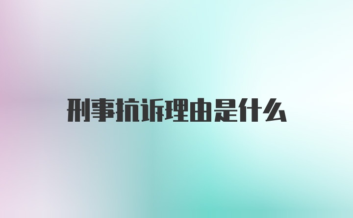 刑事抗诉理由是什么