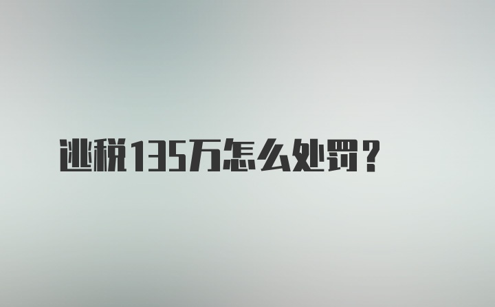 逃税135万怎么处罚?