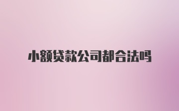 小额贷款公司都合法吗