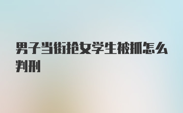 男子当街抢女学生被抓怎么判刑