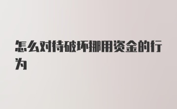 怎么对待破坏挪用资金的行为