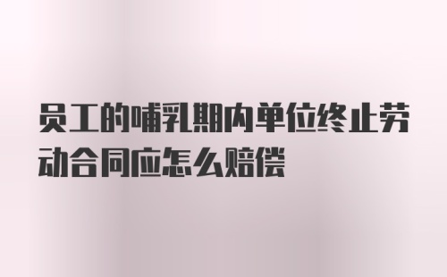 员工的哺乳期内单位终止劳动合同应怎么赔偿