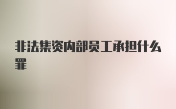 非法集资内部员工承担什么罪