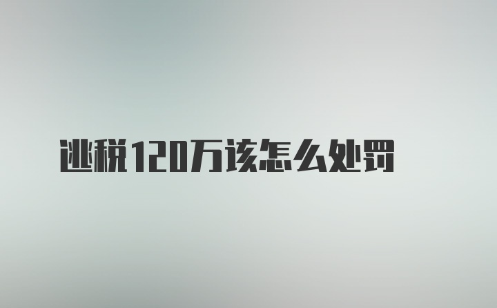 逃税120万该怎么处罚