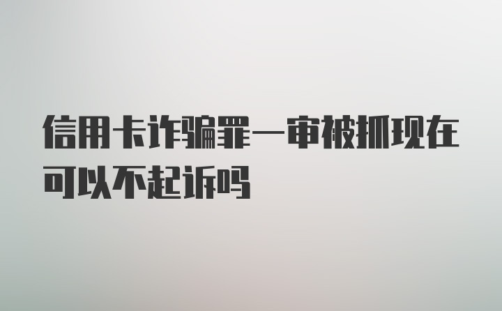 信用卡诈骗罪一审被抓现在可以不起诉吗