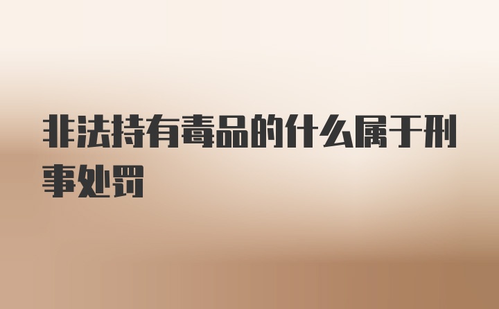 非法持有毒品的什么属于刑事处罚