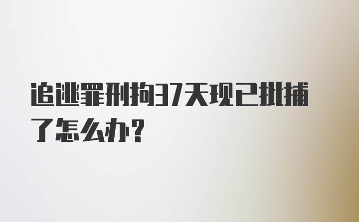 追逃罪刑拘37天现已批捕了怎么办？