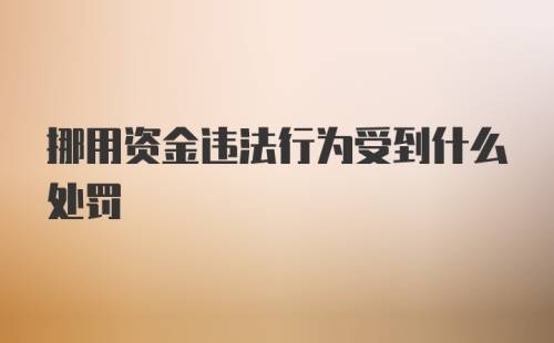 挪用资金违法行为受到什么处罚