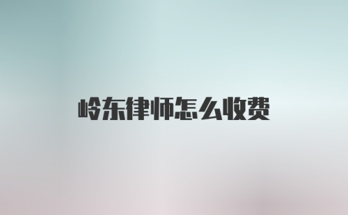 岭东律师怎么收费