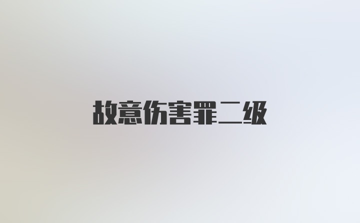 故意伤害罪二级