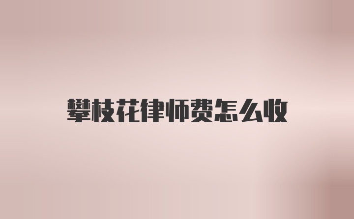 攀枝花律师费怎么收