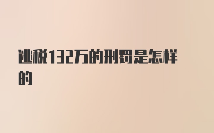 逃税132万的刑罚是怎样的