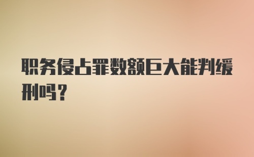 职务侵占罪数额巨大能判缓刑吗?