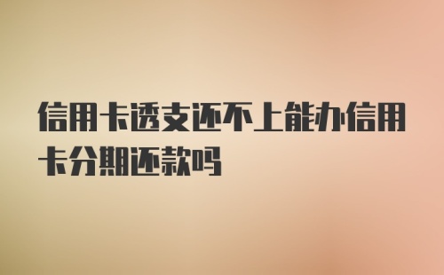 信用卡透支还不上能办信用卡分期还款吗