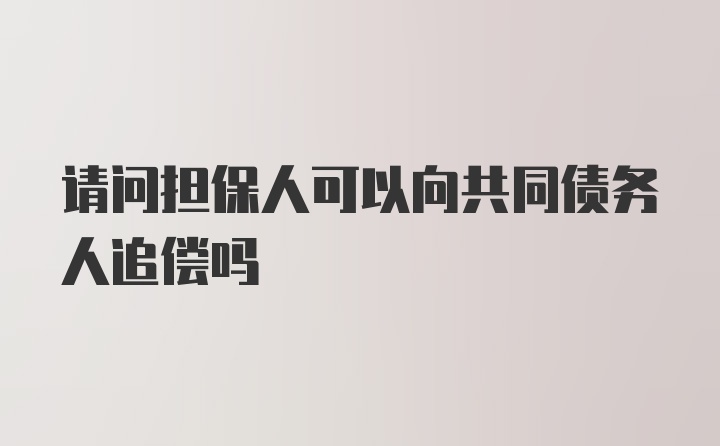 请问担保人可以向共同债务人追偿吗