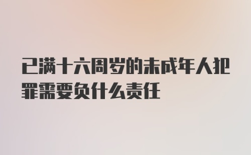 已满十六周岁的未成年人犯罪需要负什么责任