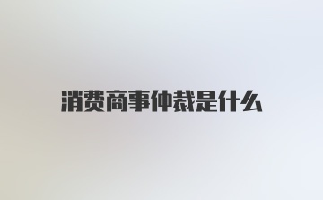 消费商事仲裁是什么