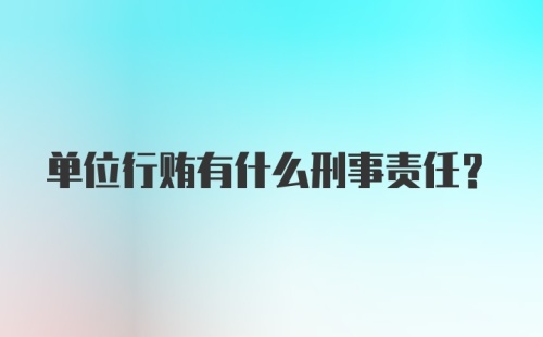 单位行贿有什么刑事责任？