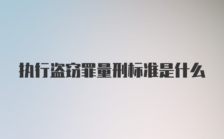 执行盗窃罪量刑标准是什么