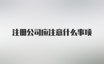 注册公司应注意什么事项