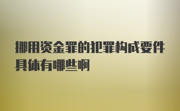 挪用资金罪的犯罪构成要件具体有哪些啊