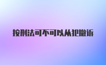 按刑法可不可以从犯撤诉