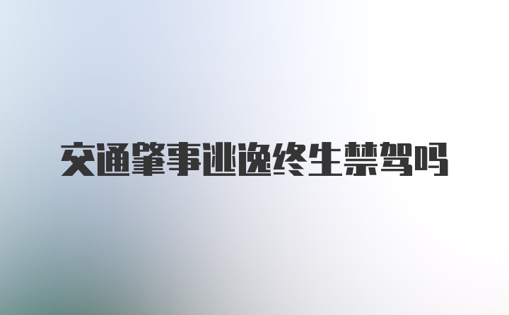 交通肇事逃逸终生禁驾吗