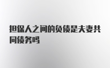 担保人之间的负债是夫妻共同债务吗