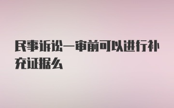 民事诉讼一审前可以进行补充证据么