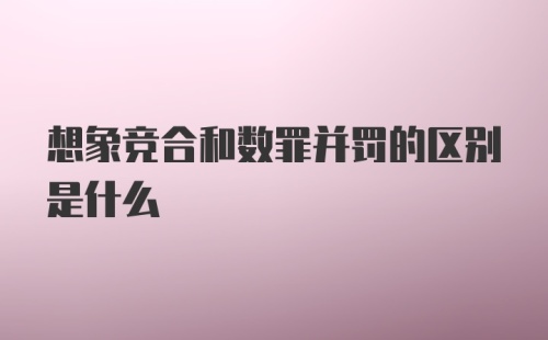 想象竞合和数罪并罚的区别是什么