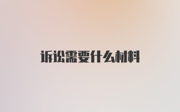 诉讼需要什么材料