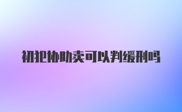 初犯协助卖可以判缓刑吗