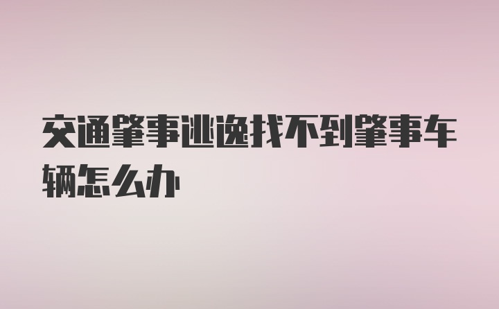 交通肇事逃逸找不到肇事车辆怎么办