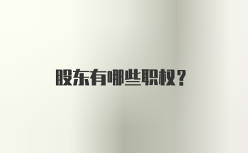 股东有哪些职权？