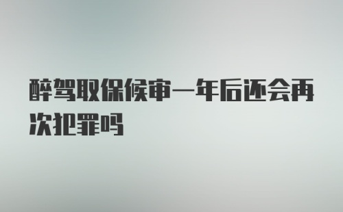 醉驾取保候审一年后还会再次犯罪吗