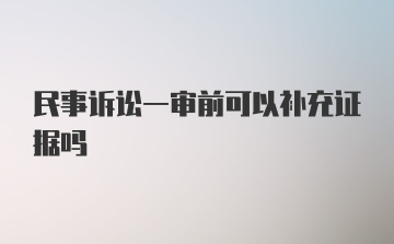 民事诉讼一审前可以补充证据吗