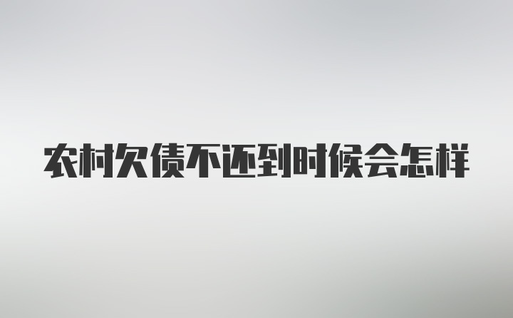 农村欠债不还到时候会怎样