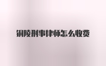 铜陵刑事律师怎么收费