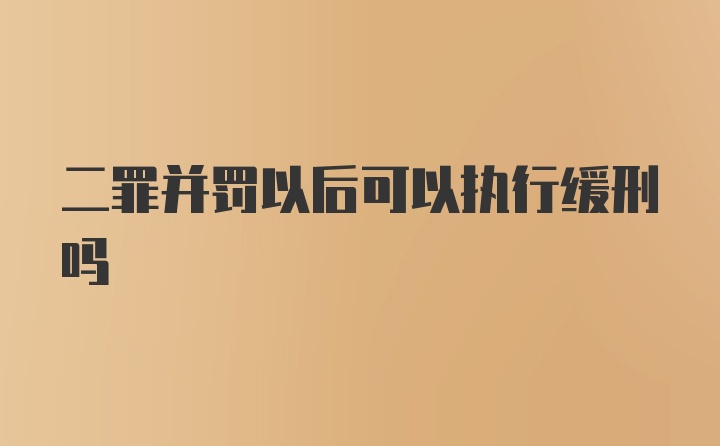 二罪并罚以后可以执行缓刑吗