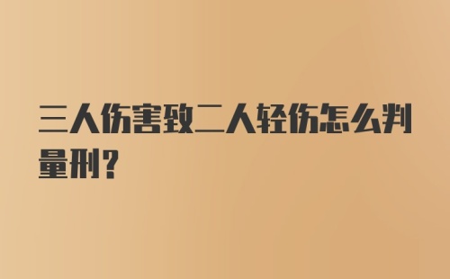 三人伤害致二人轻伤怎么判量刑？